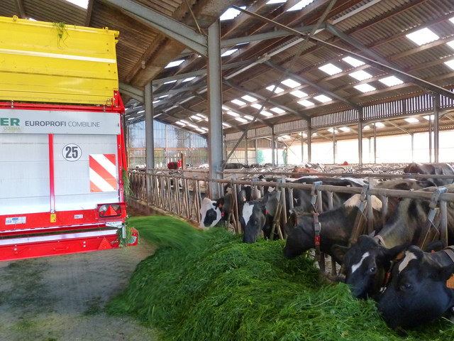 Поперечный ленточный транспортер Поперечный ленточный транспортер